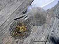 Edelstahl Räuchergitter - höchste Qualität