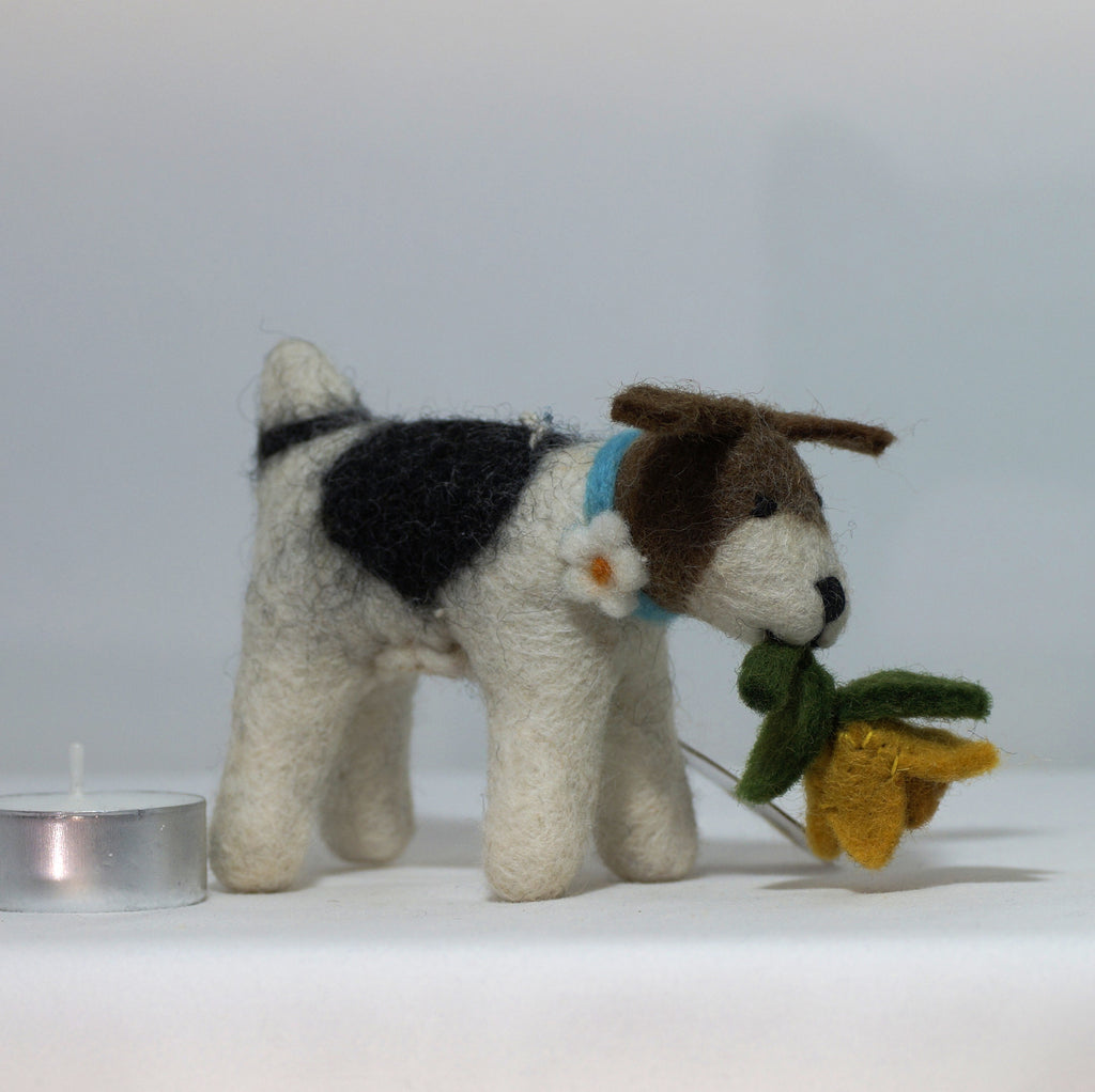 Fox Terrier mit Narzisse