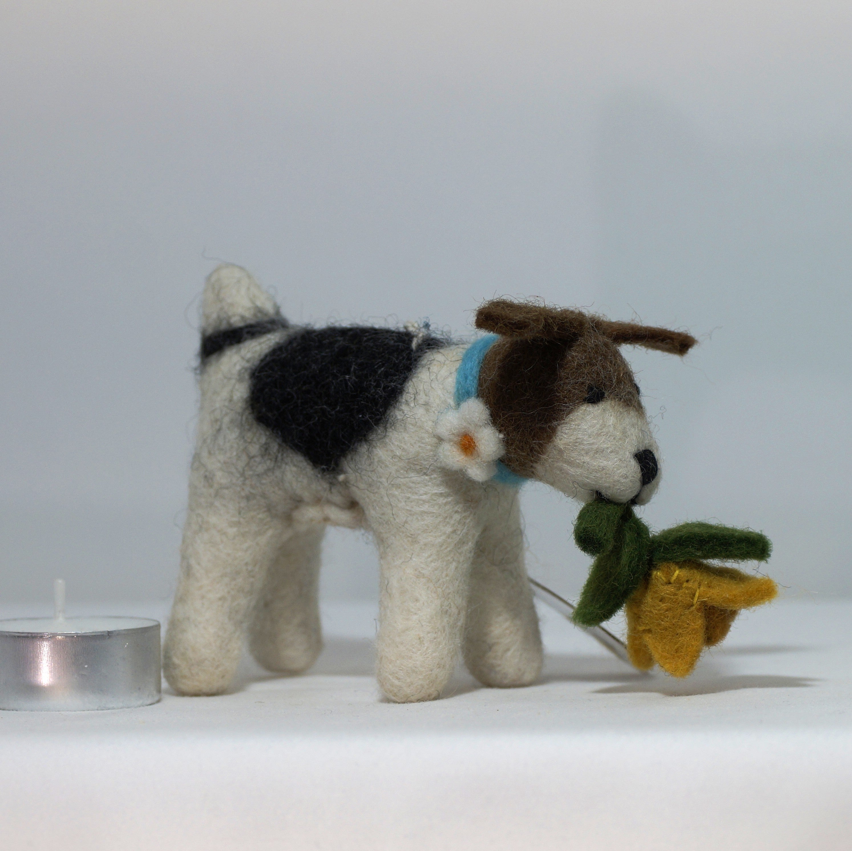 Fox Terrier mit Narzisse