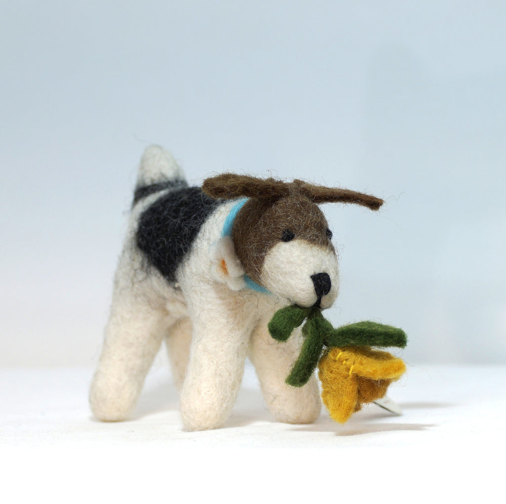 Fox Terrier mit Narzisse