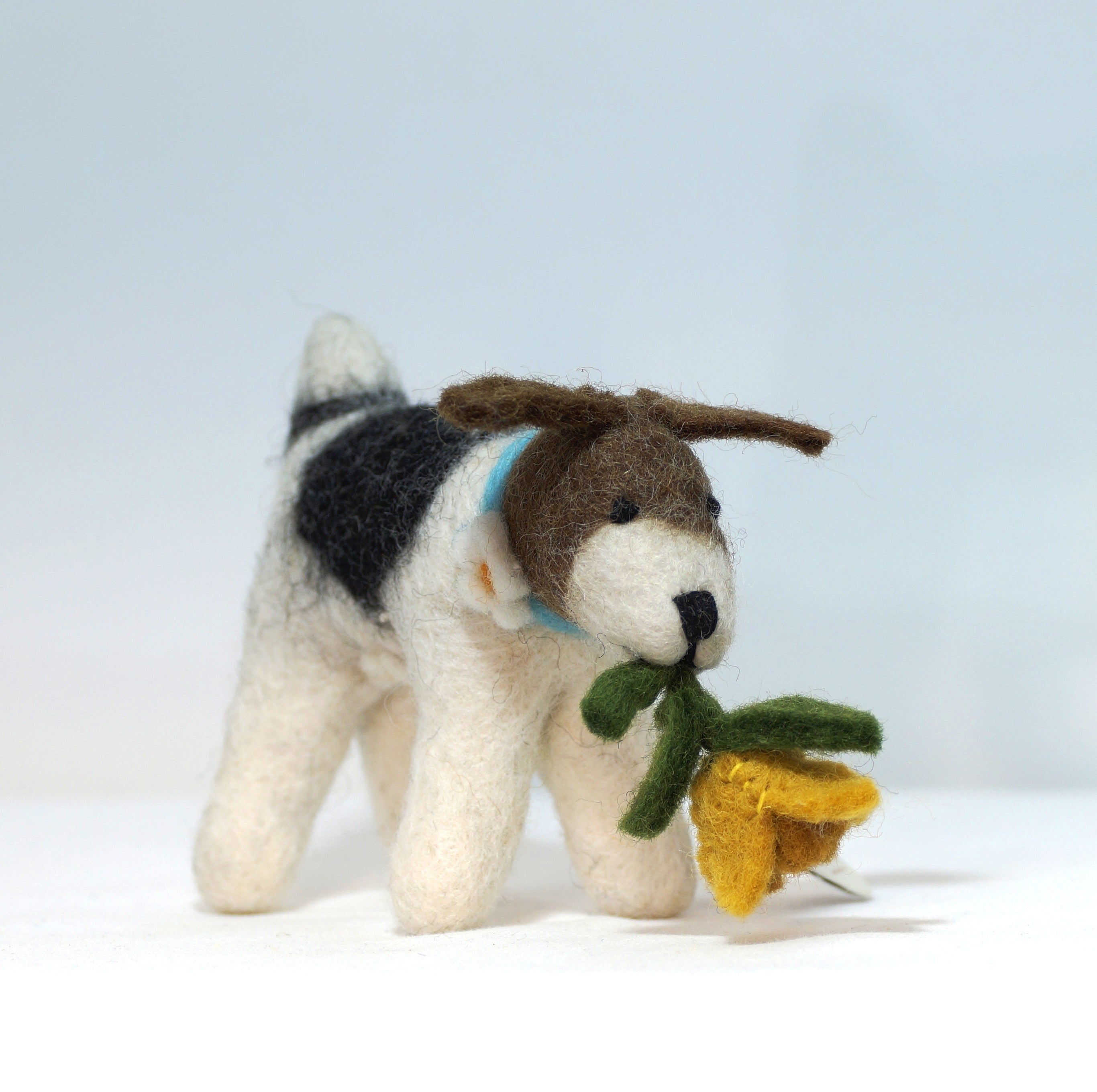 Fox Terrier mit Narzisse