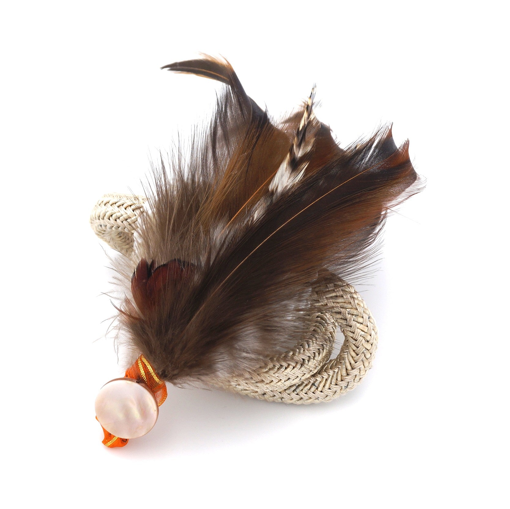 Hahnenfeder-Goldfasan Hutgesteck