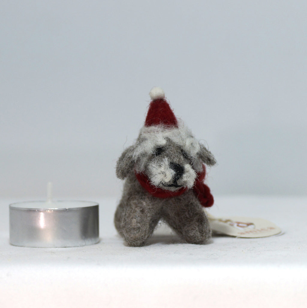 Mini Schnauzer