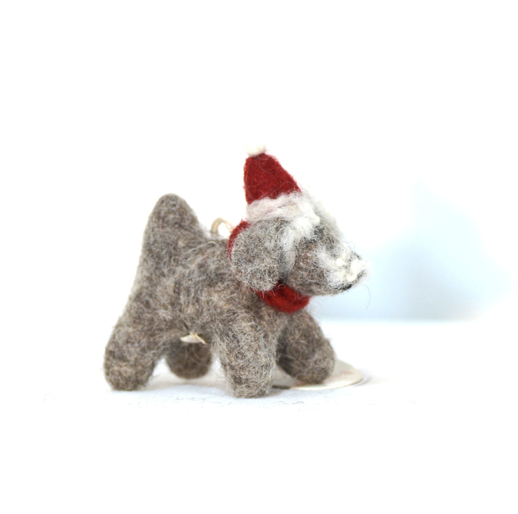 Mini Schnauzer