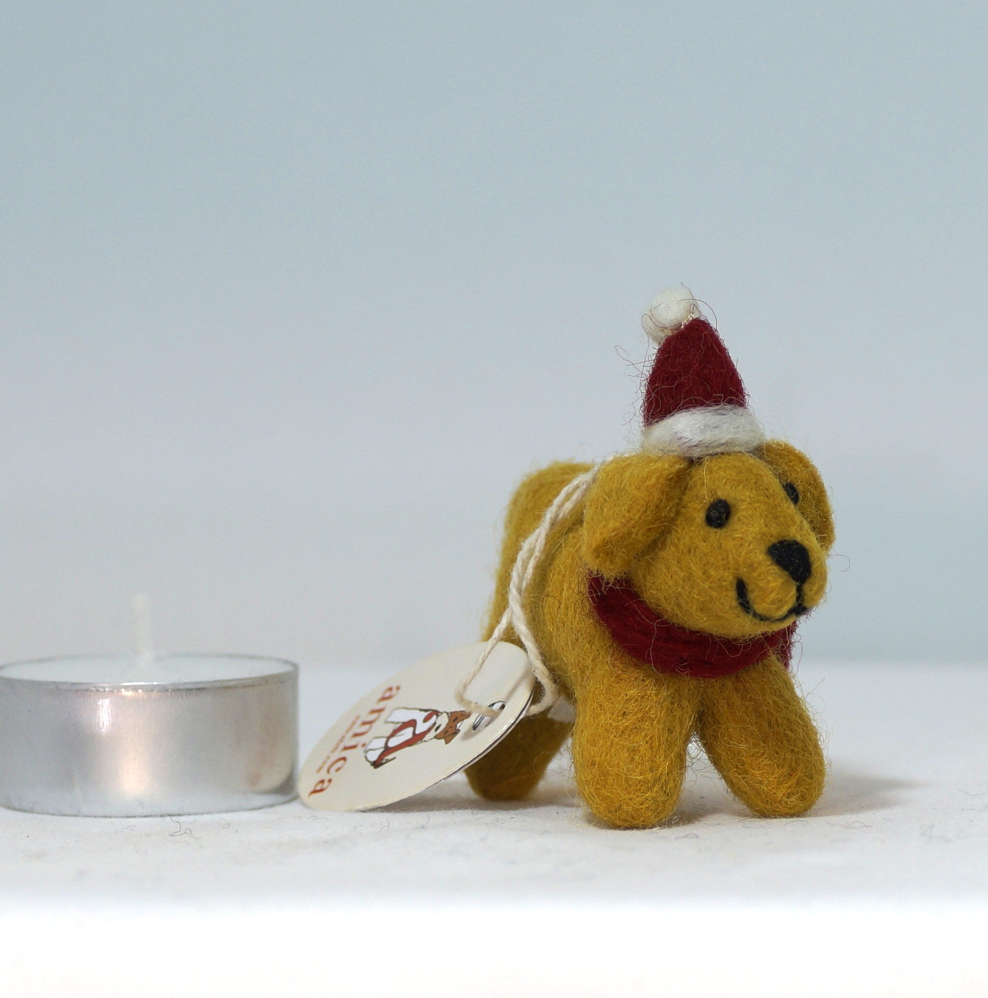 Mini golden Labrador Retriever