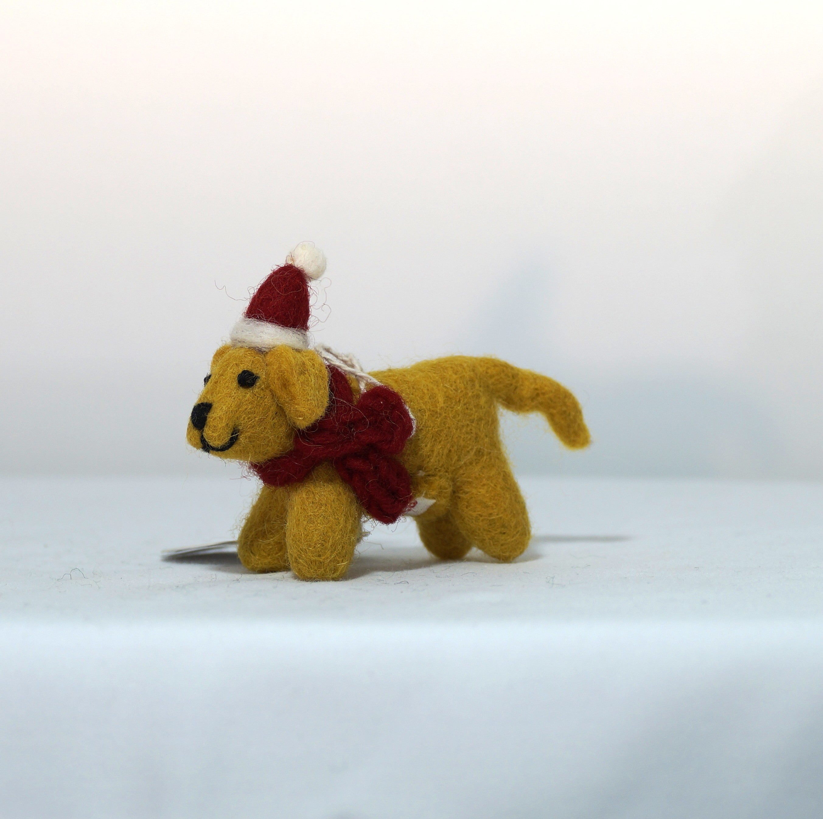 Mini golden Labrador Retriever