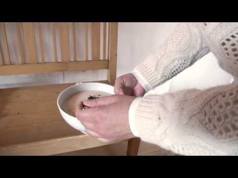 "Weihnachten im Tal" - Großes Set - 9-teilig